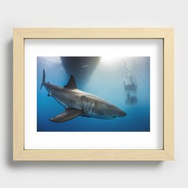 Great White Shark Recessed Framed Print