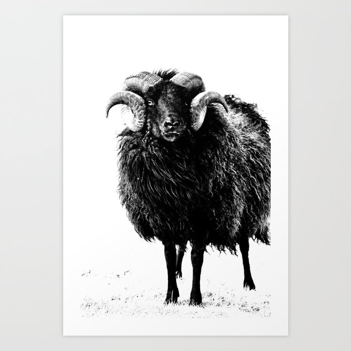 Black Ram Art Print by Vicki Field | Society6