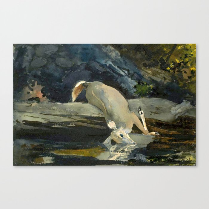 Canvas Print