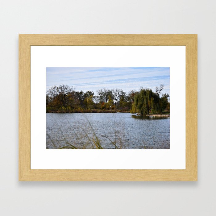 Willow and Water Framed Art Print