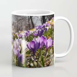 Spring in the old City - crocus Spring meadow Coffee Mug
