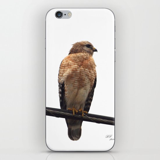 Falcon Wire iPhone & iPod Skin