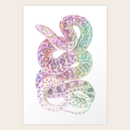 Colorful Snake Art Print