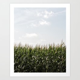 Summer sky over cornfield - fine art photo print shot in The Netherlands Art Print