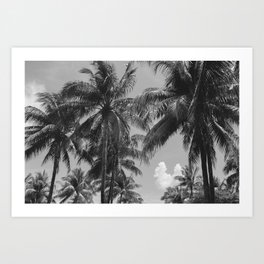 Palm Trees Black and White Photography Art Print