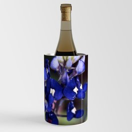 Texas Bluebonnet - Lupinus texensis Wine Chiller