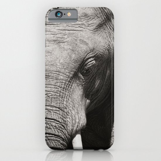 African Elephant iPhone & iPod Case
