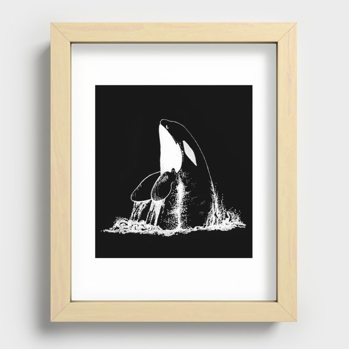 Killer Whale Spyhopping Ink Art Recessed Framed Print