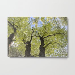 All About Light Metal Print