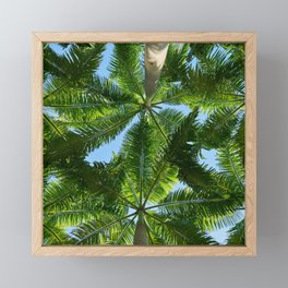 Summer Photography - Under The Palm Trees Framed Mini Art Print