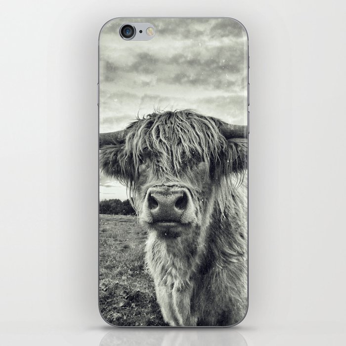 Highland Cow II iPhone Skin