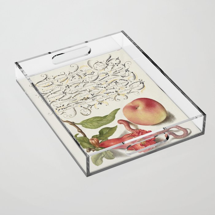 Vintage calligraphic art with flowers and peach Acrylic Tray