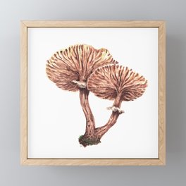Fungi watercolor - Armillaria gallica Framed Mini Art Print