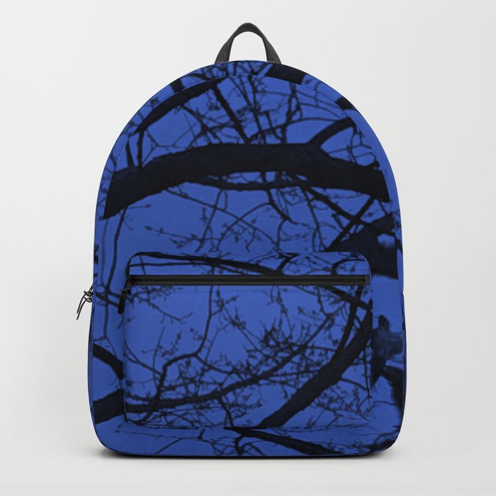 hawk backpack blue