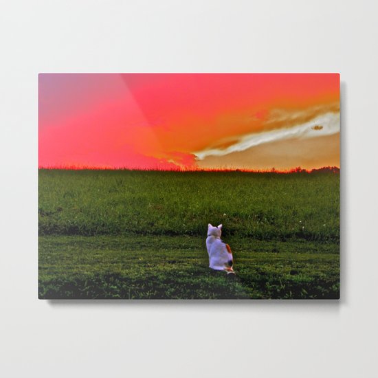 Lulu Loves a Good Sunset Metal Print