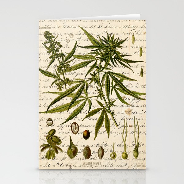 Marijuana Cannabis Botanical on Antique Journal Page Stationery Cards