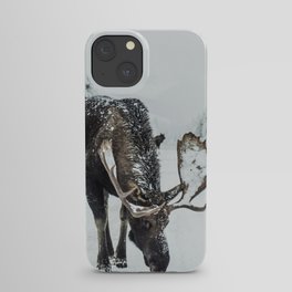 Moose in the wild iPhone Case