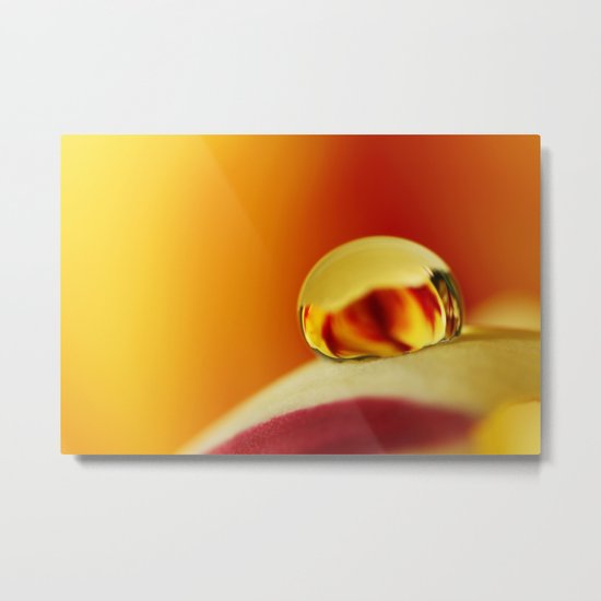 Fiery Tulip Drop Metal Print