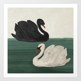 Black Swan White Swan Art Print