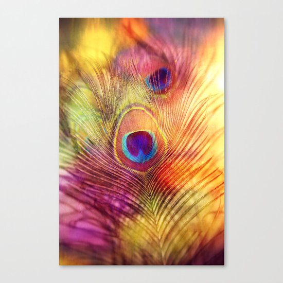 peacock feather Canvas Print