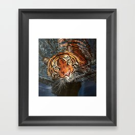 Tiger Shadow Framed Art Print