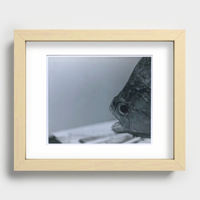 Something's Fishy Recessed Framed Print