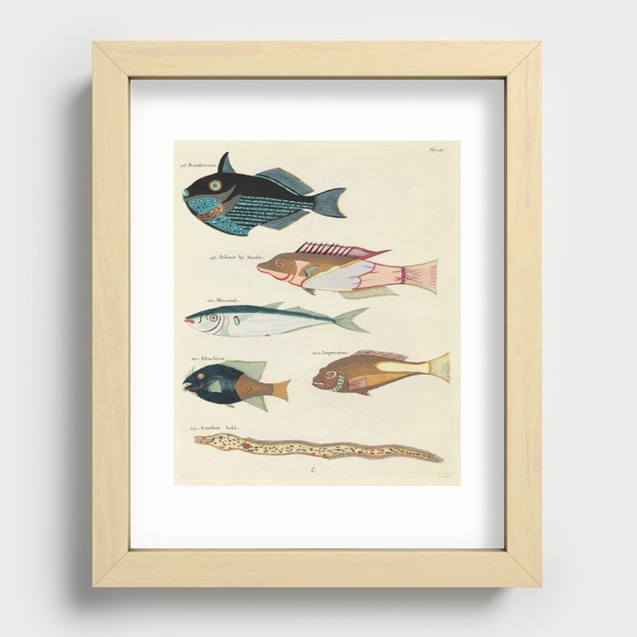 fish by Louis Renard Recessed Framed Print