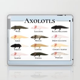 Types of Axolotls Laptop Skin