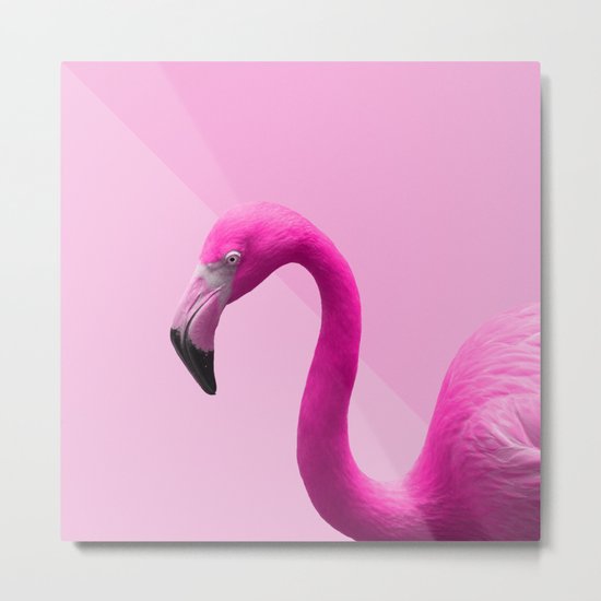 FLAMINGO 2 Metal Print