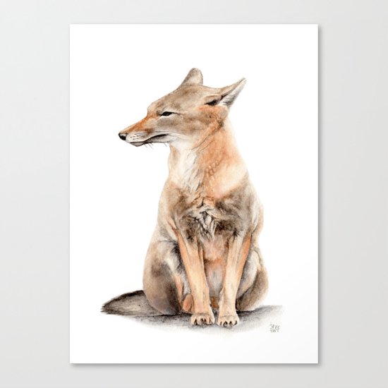 Fox Watercolor Canvas Print