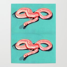 Gouache Snake Painting, turquoise and pink  Poster