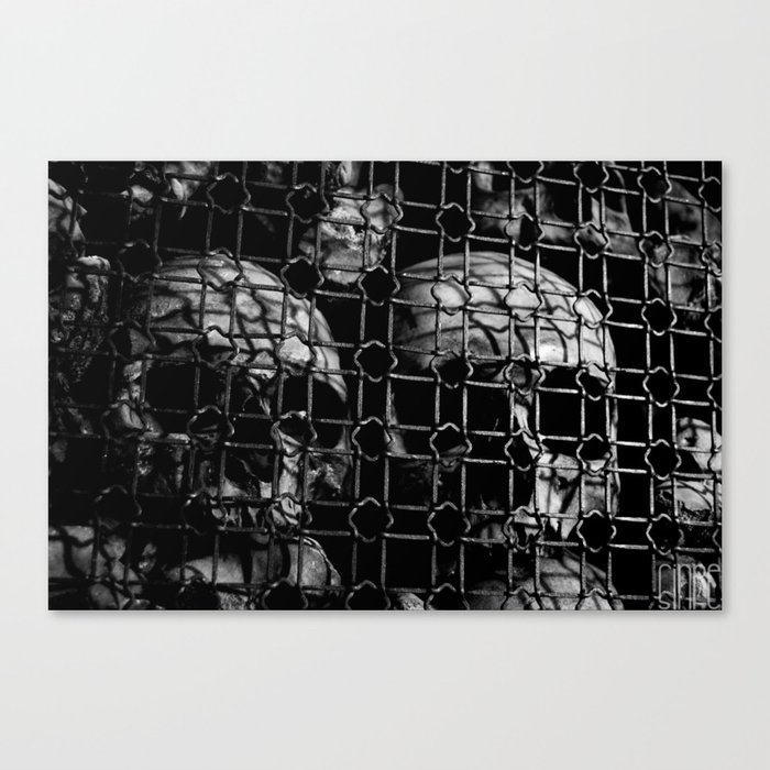 skull cage Canvas Print