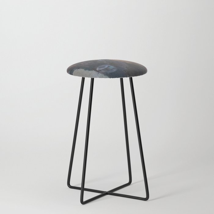 Bison Reflections Counter Stool