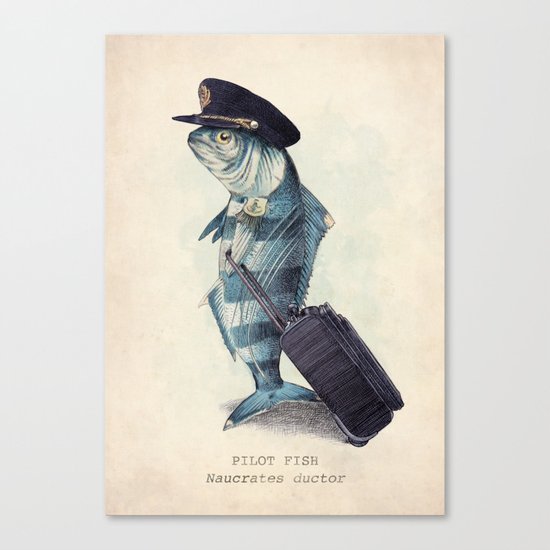The Pilot Canvas Print
