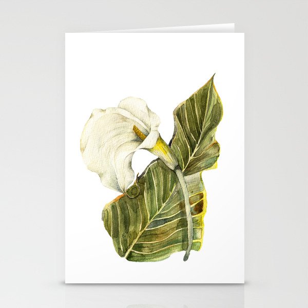 White Calla Lily Stationery Cards
