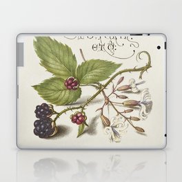 Vintage calligraphy blackberries Laptop Skin