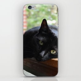 Black Cat iPhone Skin