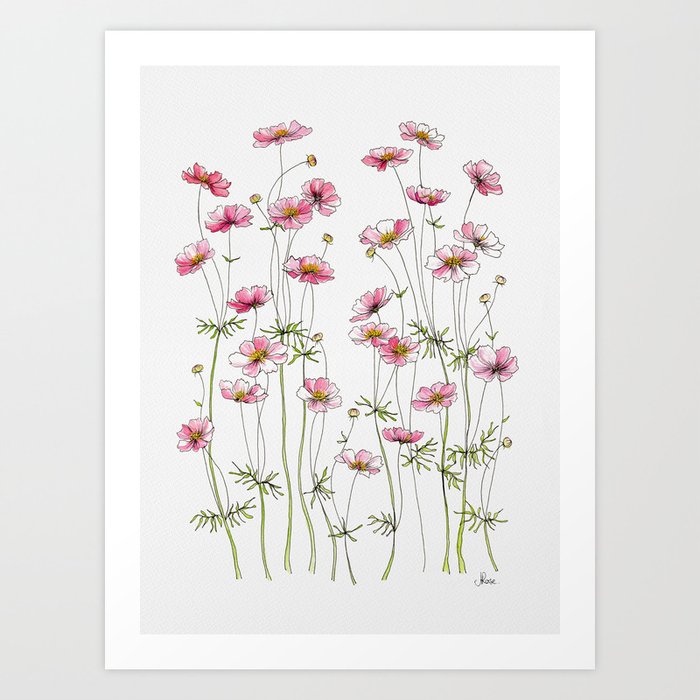 Pink Cosmos Flowers Kunstdrucke | Drawing, Ink-pen, Acrylic, Muster, Cosmos, Blumen, Blume, Floral, Pink, Wild-flowers