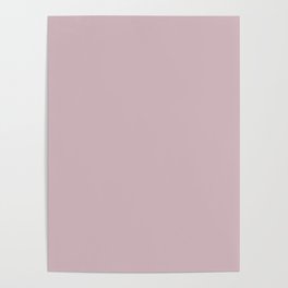 Sherwin Williams Trending Colors of 2019 Delightful (Pale Pastel Pink) SW 6289 Solid Color Poster