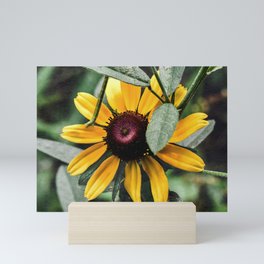 Yellow Coneflower Mini Art Print