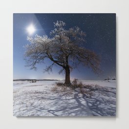 Moonlit Frosting Metal Print