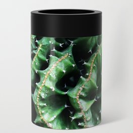Emerald green Cactus Botanical Photography, Nature, Macro, Can Cooler