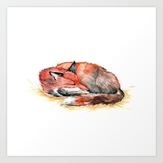Sleeping Fox Watercolor Art Print