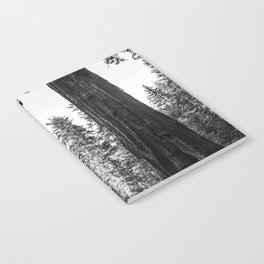 Twin giant redwoods / sequoias Pacific Coast California nature black and white landscape photograph / photography Notebook