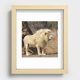 South Africa Photography - Beautiful Lion Standing By Some Timber Recessed Framed Print