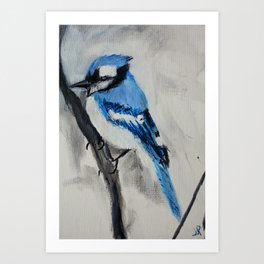 Blue Jay Wild Bird Acrylic Painting Art Print By Jamespeart Society6