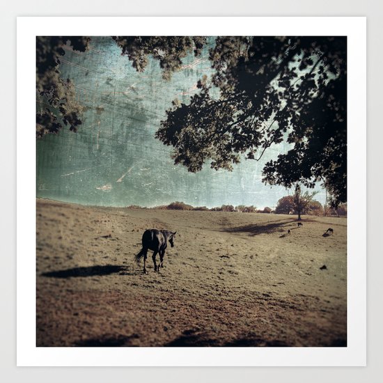 black horse departs Art Print
