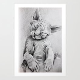 Sphynx cat Art Print