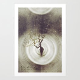 The Tree Connection - Between Me Between Art Print
