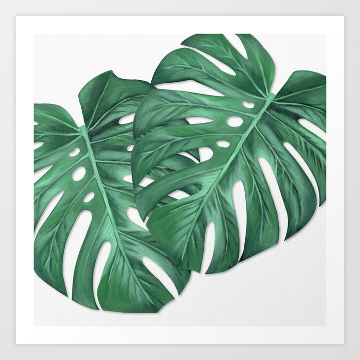 Monstera Tropical Leaf Painting Art Print By Anne Marieart